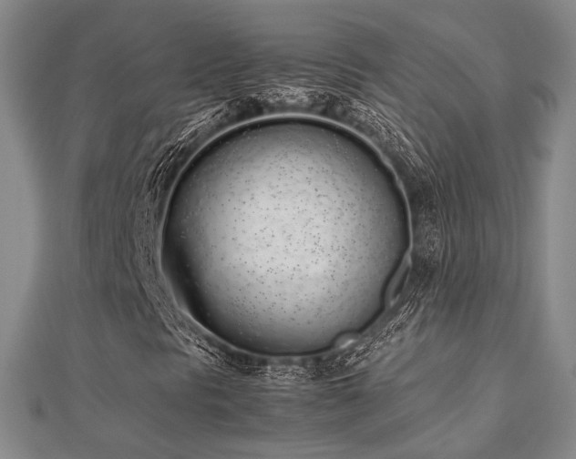 X0000112491297200908171238