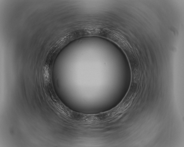 X0000112491298200908171238