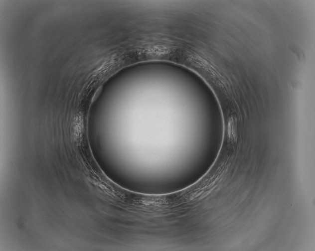X0000112491299200908171238