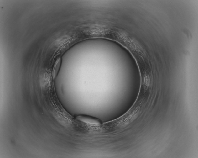 X0000112491300200908171238