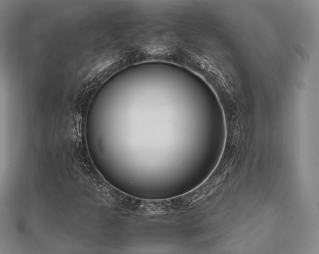 X0000112491301200908171238