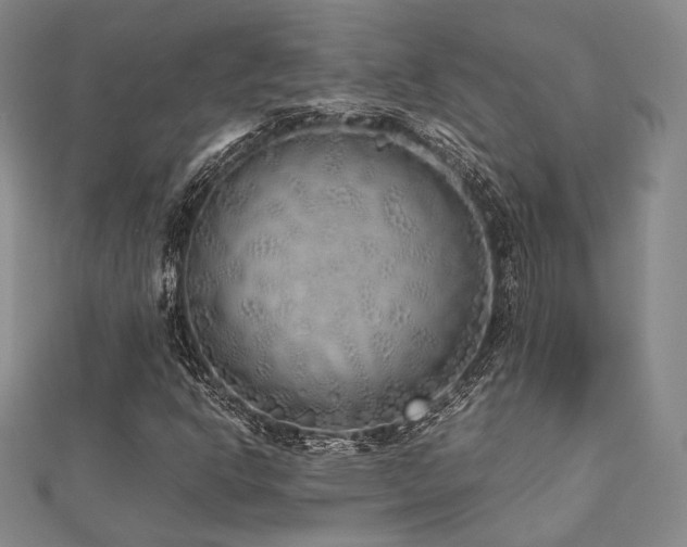 X0000112491302200908171238