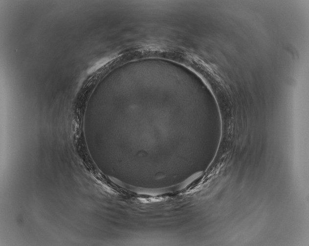 X0000112491303200908171238