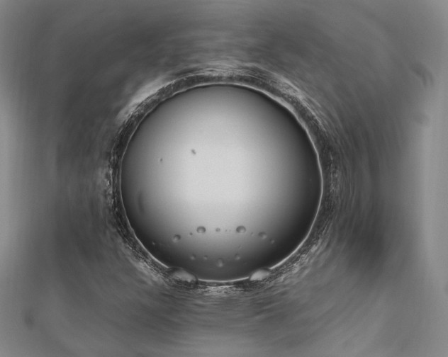 X0000112491304200908171238