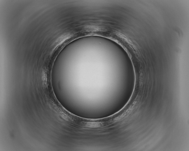 X0000112491305200908171238