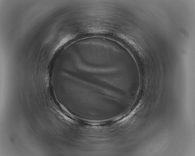 X0000112491306200908171238