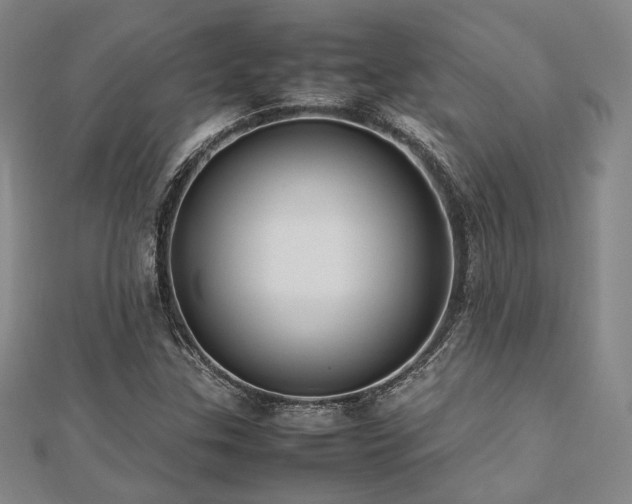 X0000112491307200908171238