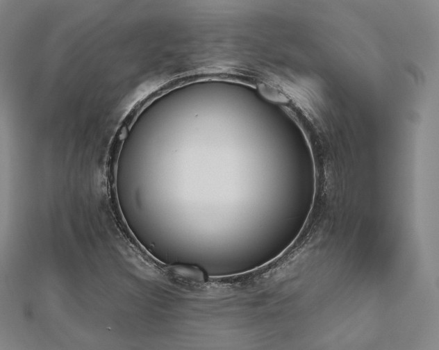 X0000112491308200908171238