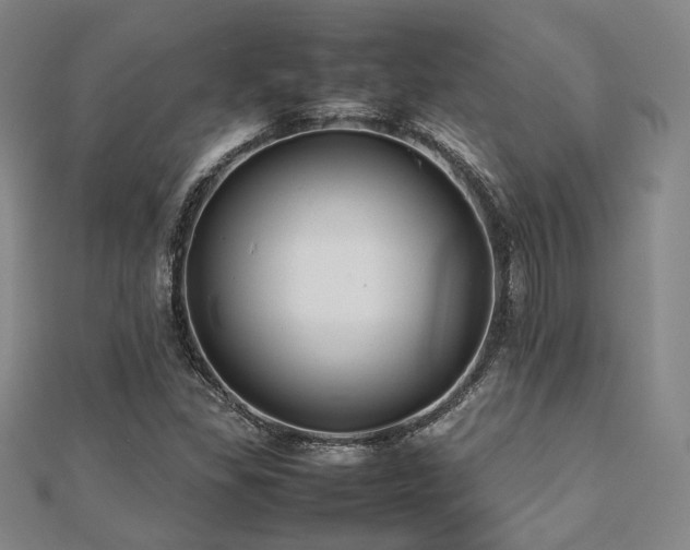 X0000112491309200908171238