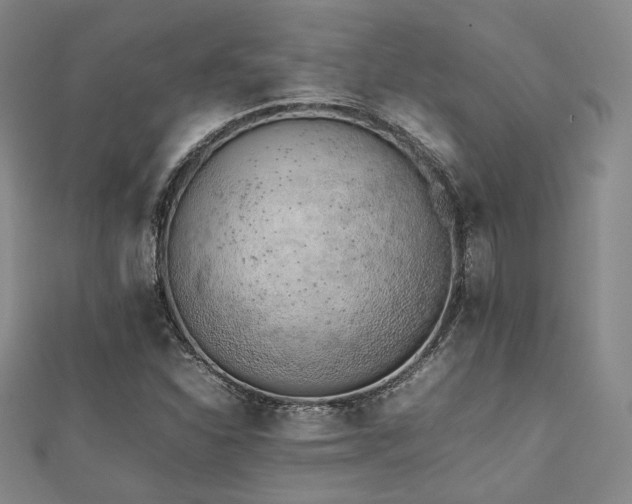 X0000112491310200908171238