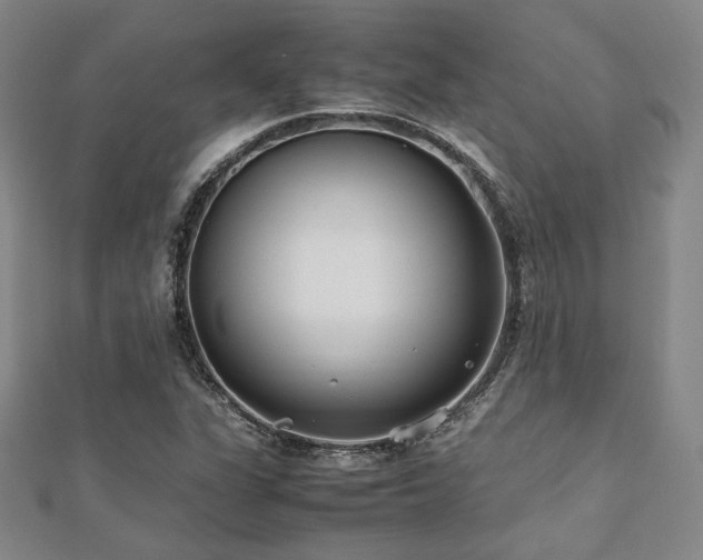 X0000112491311200908171238