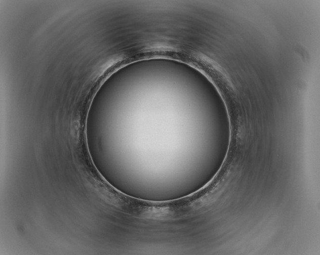 X0000112491313200908171239