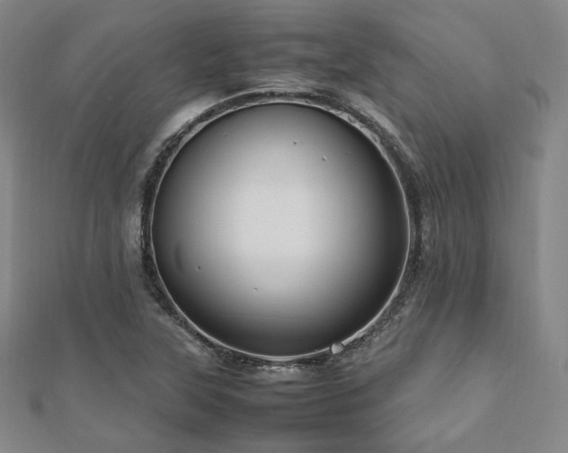 X0000112491315200908171239
