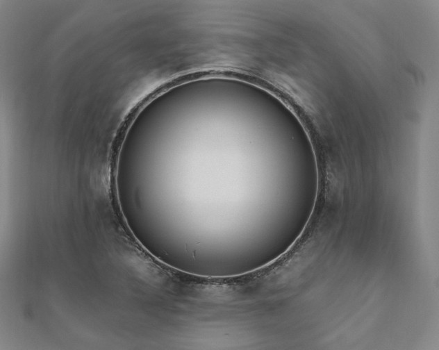 X0000112491316200908171239