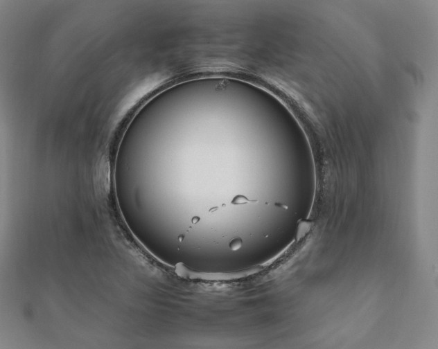 X0000112491317200908171239