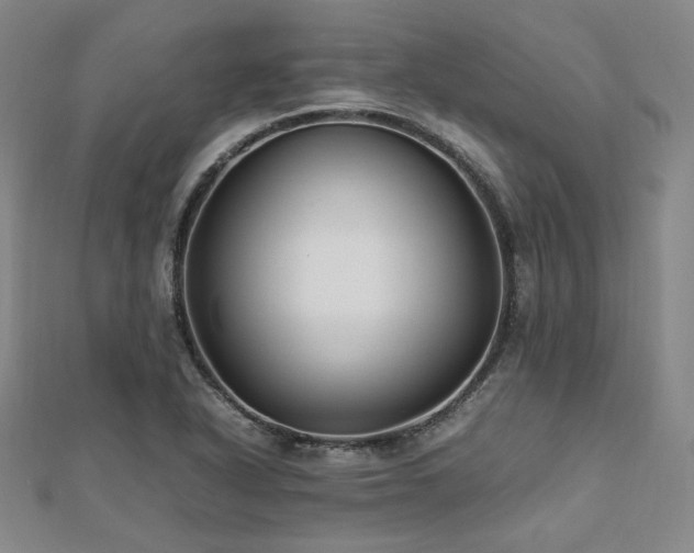 X0000112491318200908171239