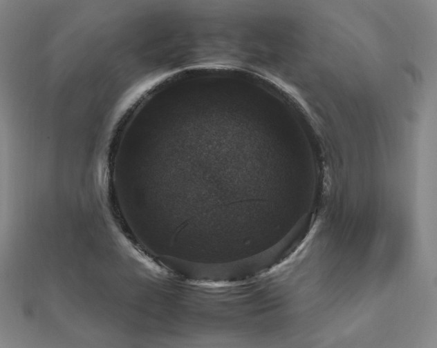 X0000112491319200908171239