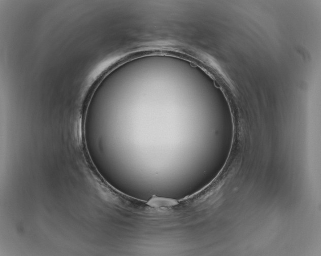 X0000112491320200908171239