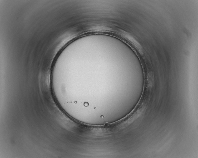 X0000112491322200908171239