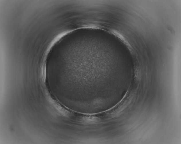 X0000112491323200908171239