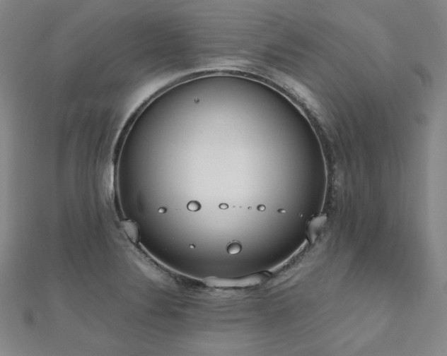 X0000112491324200908171239