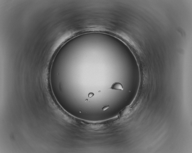 X0000112491325200908171239