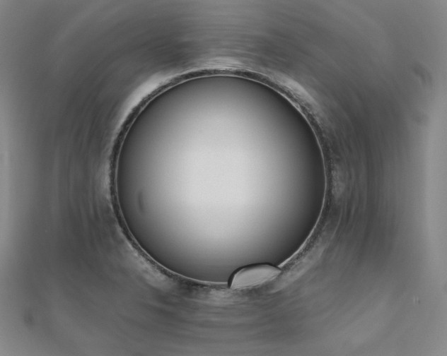 X0000112491326200908171239