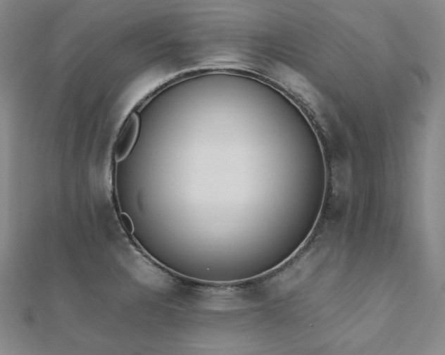 X0000112491328200908171239
