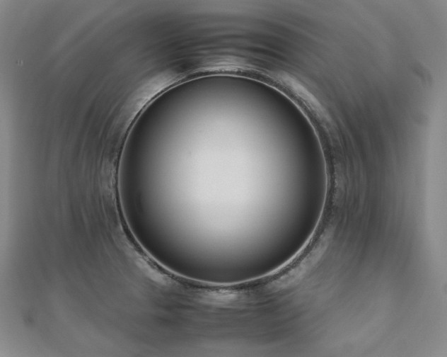 X0000112491329200908171239