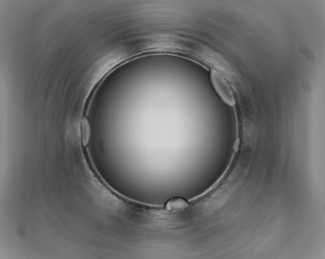 X0000112491330200908171239