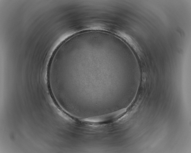 X0000112491331200908171239