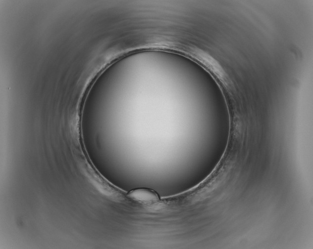 X0000112491332200908171239