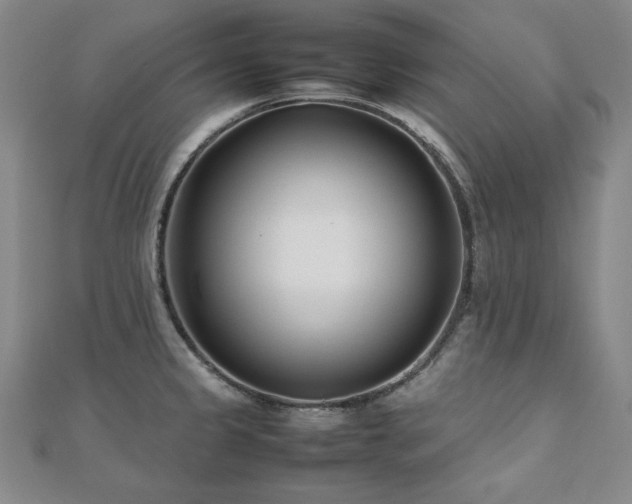 X0000112491333200908171239