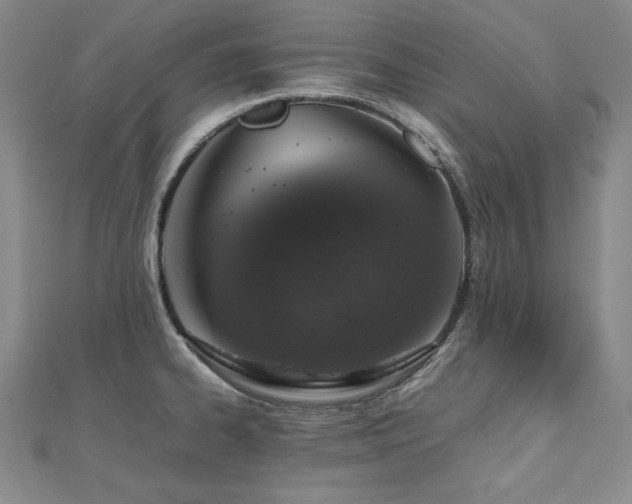 X0000112491334200908171239