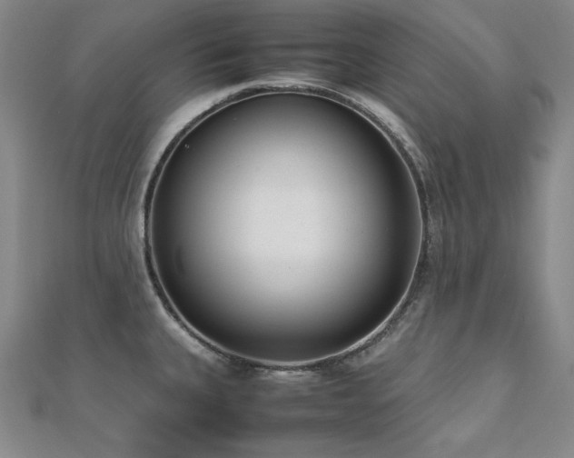 X0000112491335200908171239