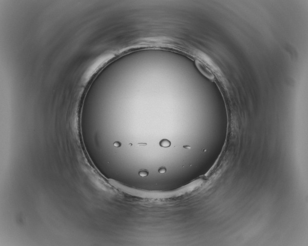 X0000112491336200908171239