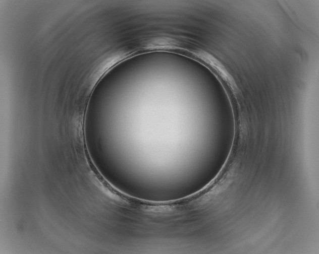 X0000112491337200908171239
