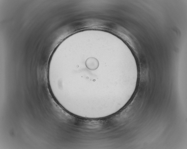 X0000112491338200908171239