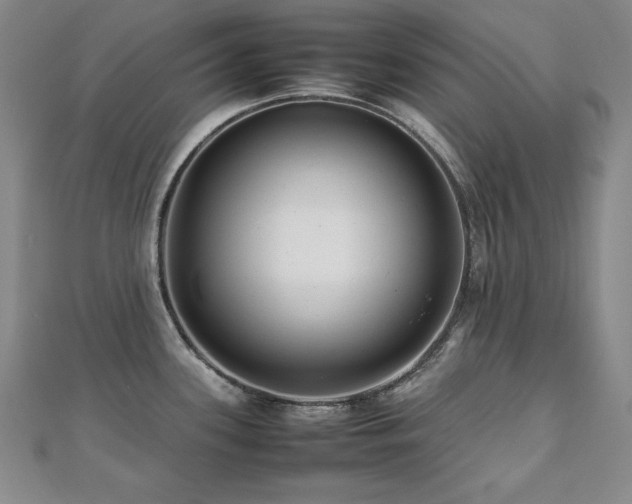 X0000112491339200908171239