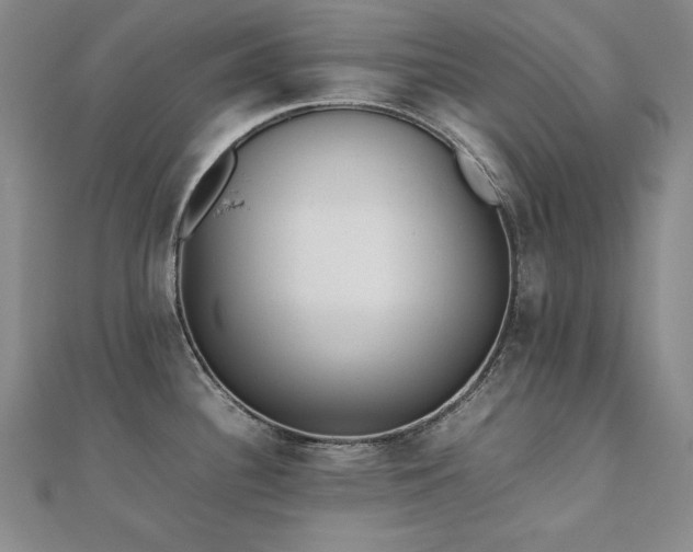 X0000112491340200908171239