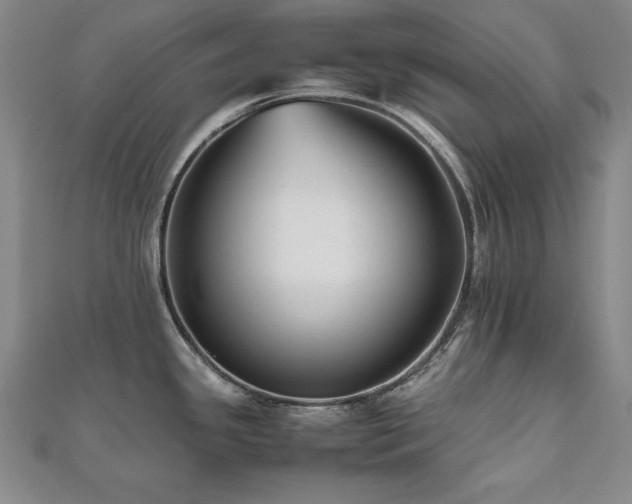 X0000112491341200908171239