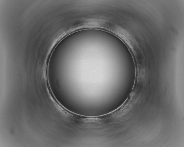 X0000112491342200908171239