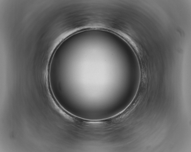 X0000112491343200908171239