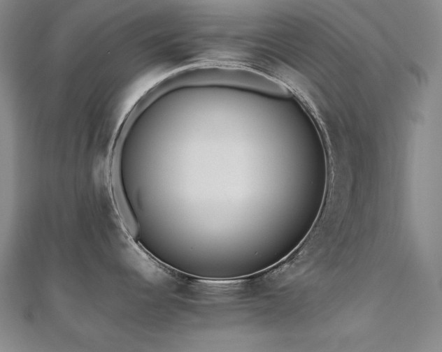 X0000112491344200908171239