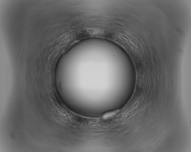 X0000112491345200908171238
