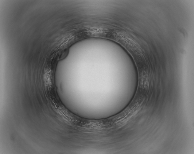 X0000112491346200908171238