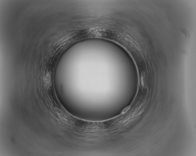X0000112491347200908171238