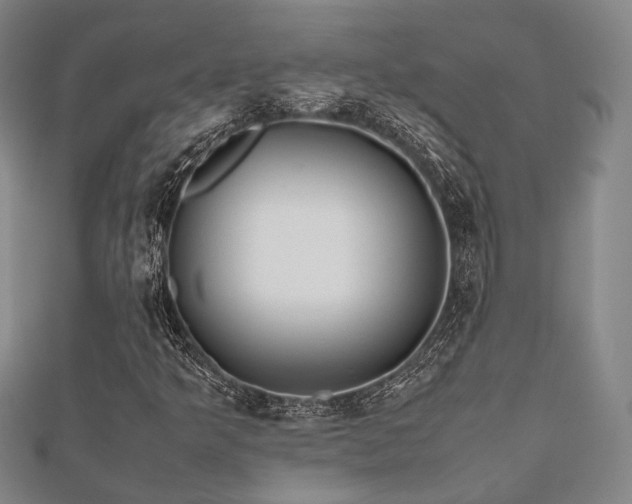 X0000112491349200908171238
