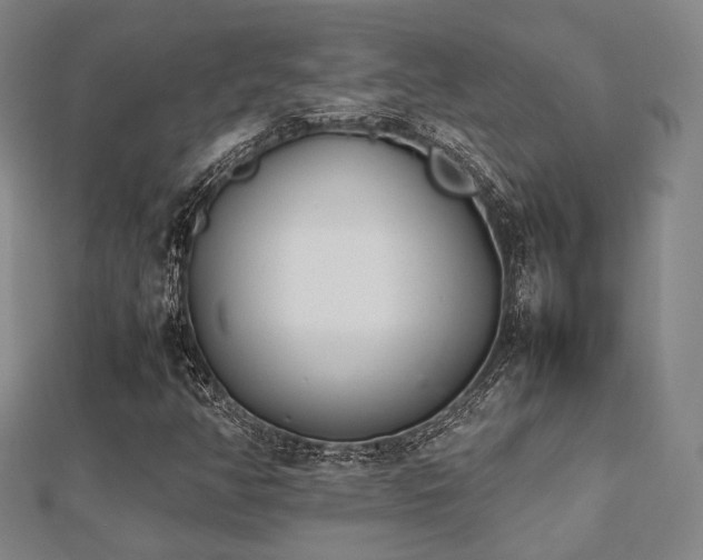 X0000112491350200908171238