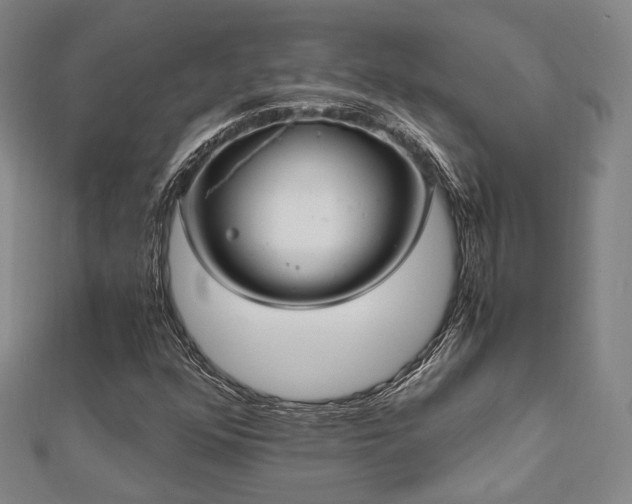X0000112491352200908171238